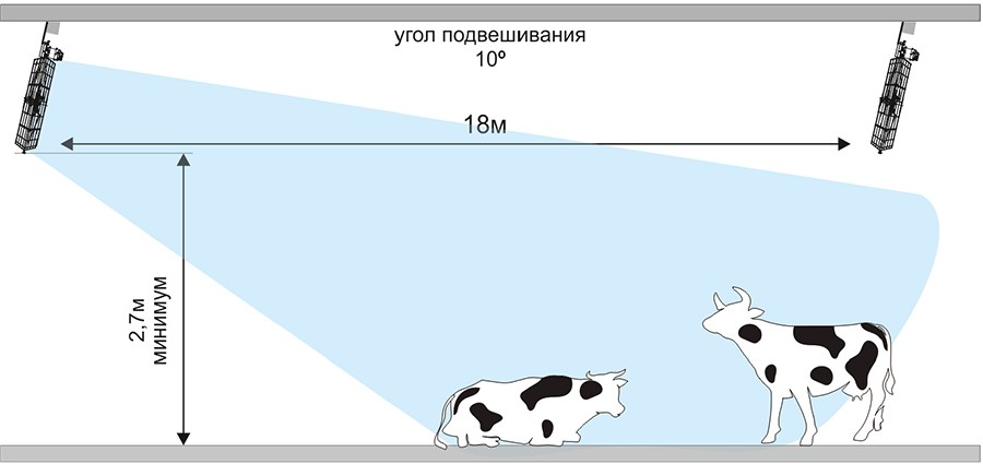 БАСКЕТ-AGR_пример использования.jpg БАСКЕТ-AGR_пример использования.jpg
